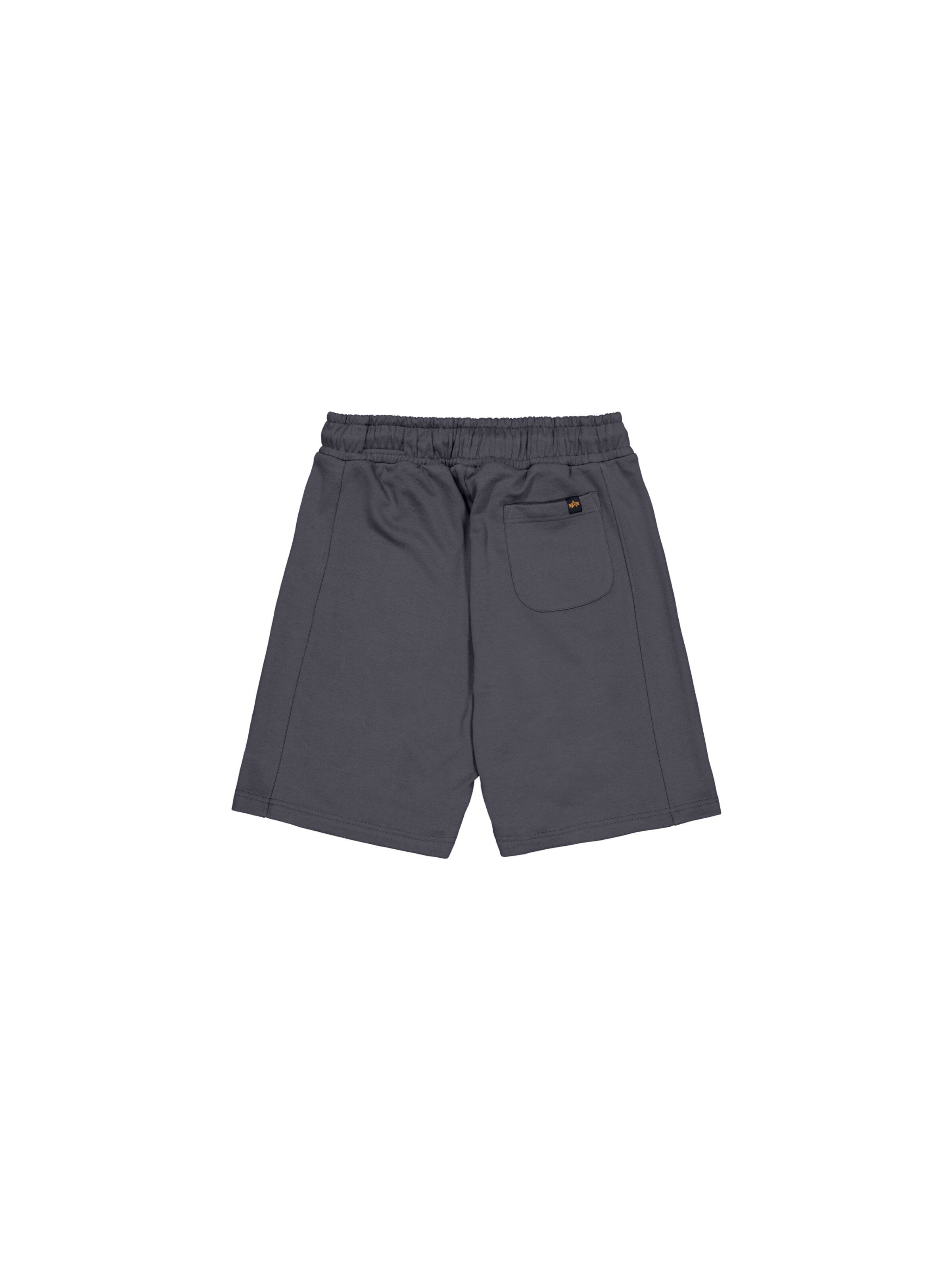 ALPHA INDUSTRIES Loosefit Bukser i grå