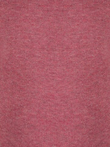 OrganicEra Sweatshirt in Red