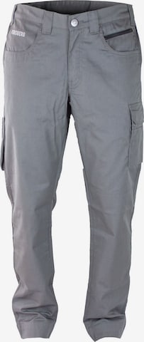 FORSBERG Cargo Pants 'Halpa' in Grey: front