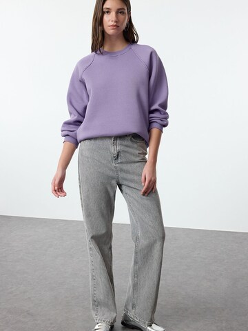 Trendyol Sweatshirt in Lila