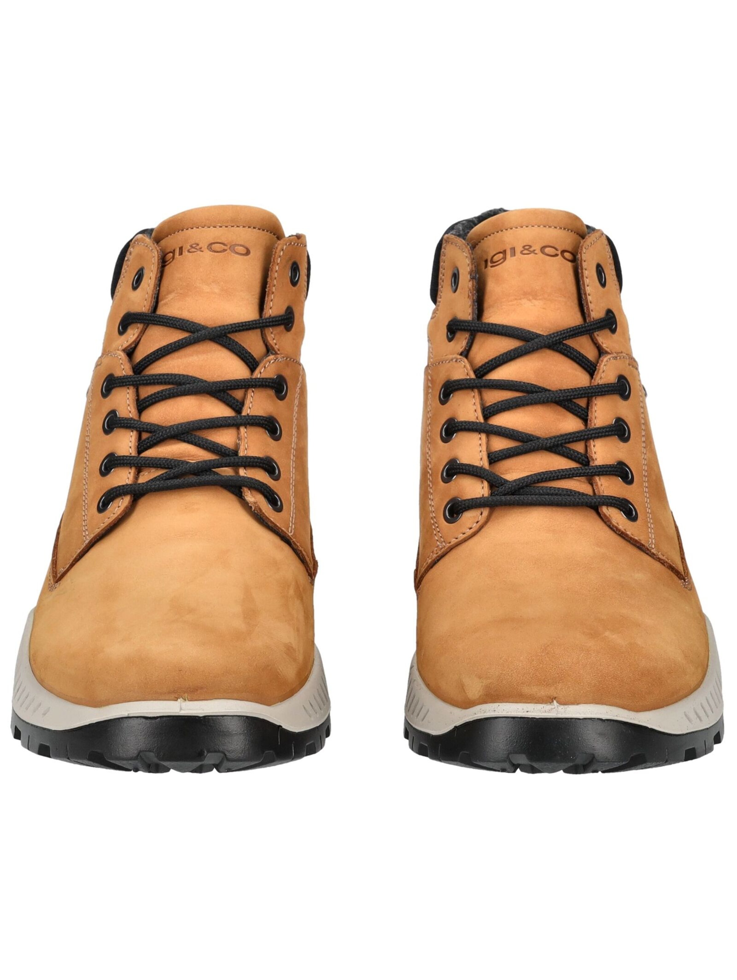 Boots stringati di IGI&CO in marrone