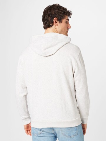 HOLLISTER Sweatshirt i grå