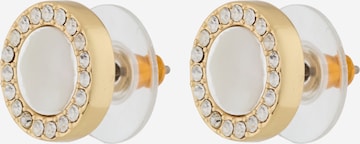 auksinė DKNY Auskarai: priekis