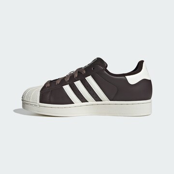 Baskets basses 'Superstar II' ADIDAS ORIGINALS en marron