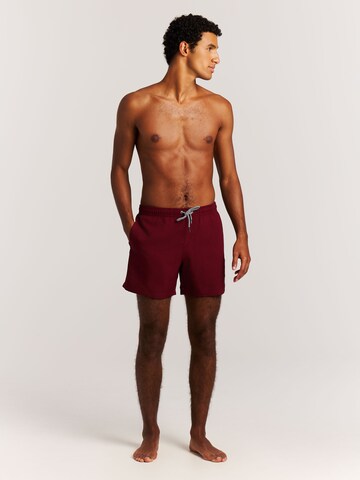 PROTEST Badeshorts 'Davey'‌ in Rot