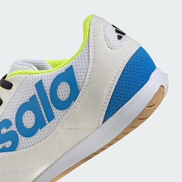 Chaussure de sport 'Top Sala Competition II' ADIDAS PERFORMANCE en blanc