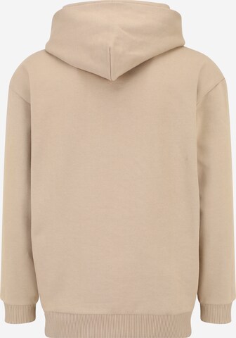 OAKLEY Sports sweatshirt 'SOHO' in Beige