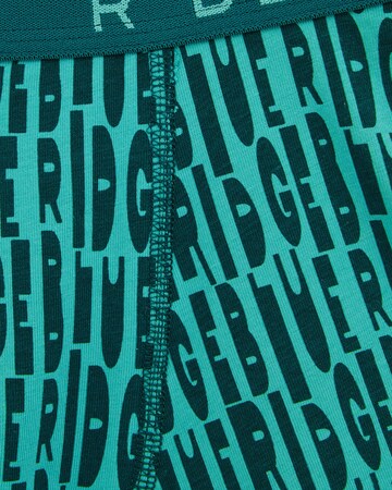 Pantaloncini intimi di WE Fashion in verde