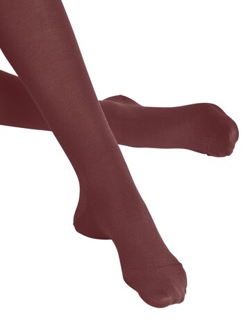 FALKE Strumpfhose 'Softmerino'‌‌‌‌‌‌‌‌ in Rot