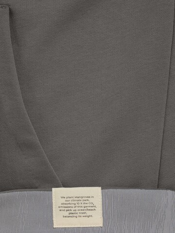 SOMWR Sweatshirt in Grau