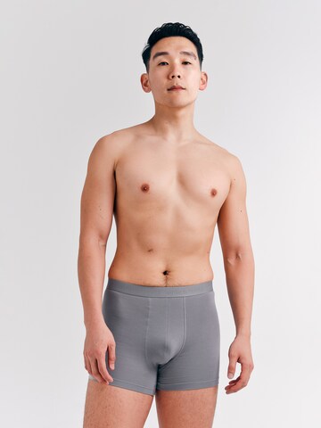 Erlich Textil Boxershorts 'Casual Cotton' in Grau