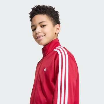 ADIDAS ORIGINALS Collegetakki 'Firebird' värissä punainen