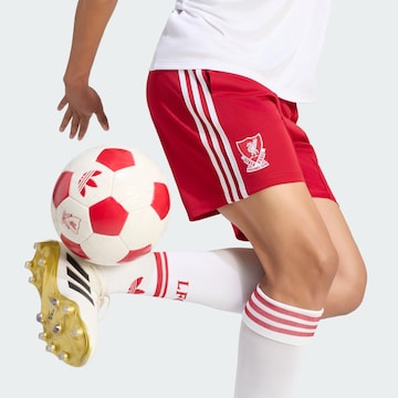 regular Pantaloni sportivi 'FC Liverpool 26/27' di ADIDAS PERFORMANCE in rosso
