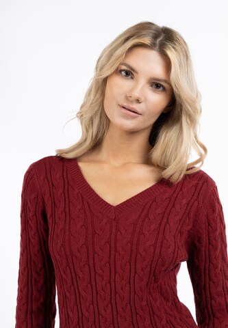 usha BLUE LABEL Sweater in Red