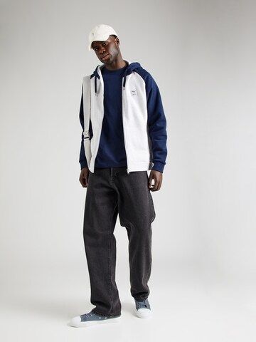 Iriedaily Sweat jacket 'De College 2' in Grey