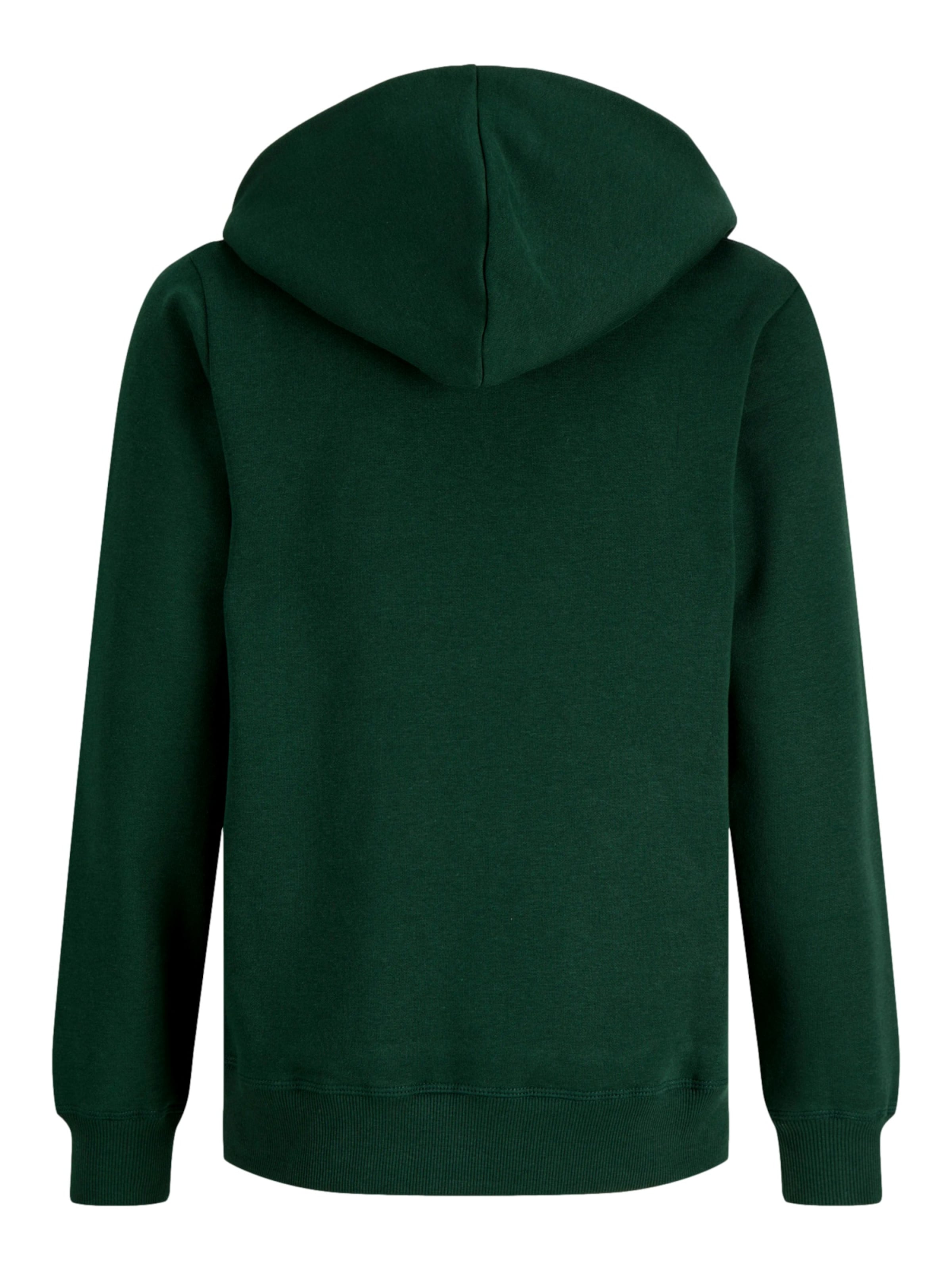 Felpa 'JORFREDERIKSBERG' di Jack & Jones Junior in verde