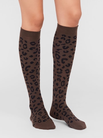 CALZEDONIA Knee High Socks in Brown