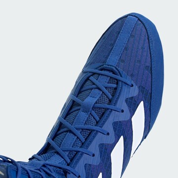 Scarpa sportiva 'Box Hog 4' di ADIDAS PERFORMANCE in blu
