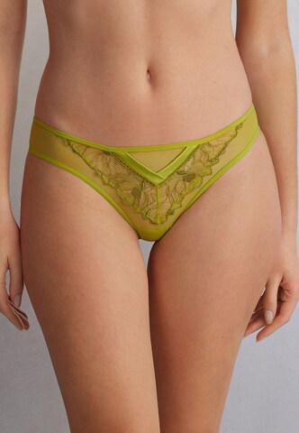 INTIMISSIMI Panty 'SWEET LIKE SUGAR' in Green: front