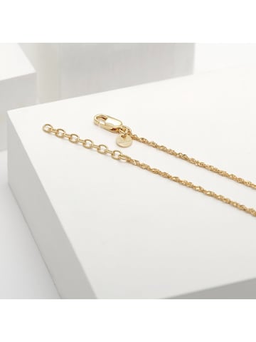 Guido Maria Kretschmer Jewellery Necklace in Gold