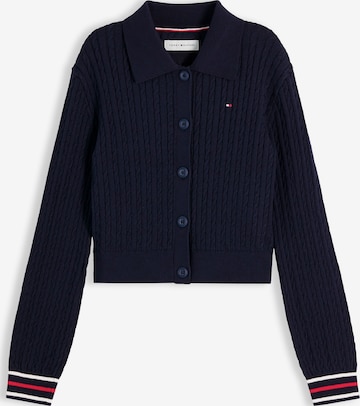 mėlyna TOMMY HILFIGER Kardiganas: priekis