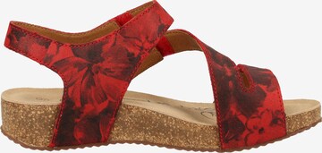 JOSEF SEIBEL Strap Sandals in Red