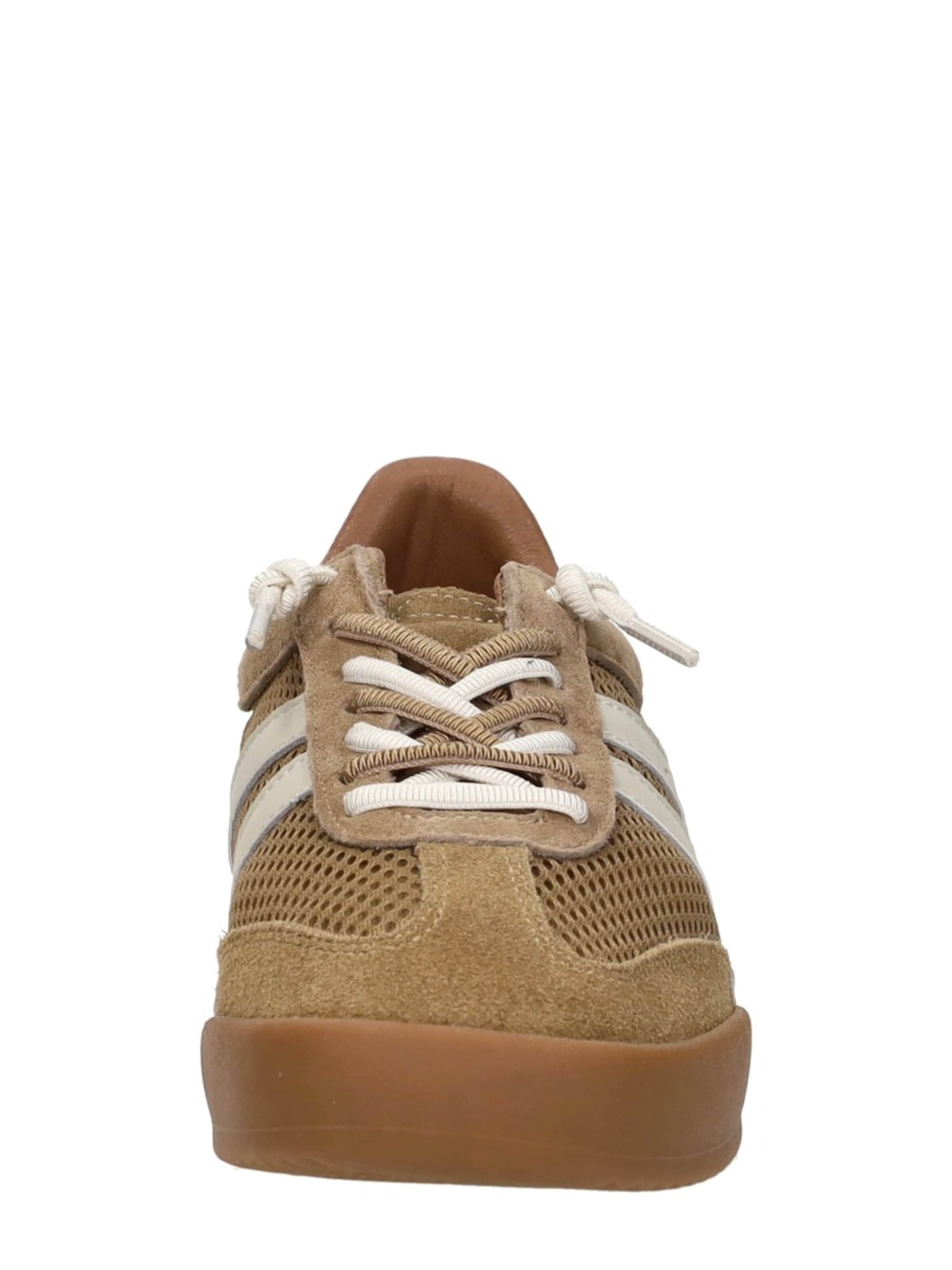 STEVE MADDEN Sneakers 'Verdict' in Brown