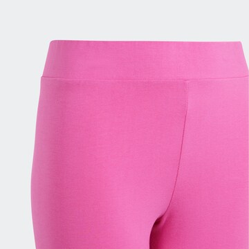 ADIDAS SPORTSWEAR - Tapered Calças de desporto 'Essentials' em rosa