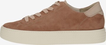 Paul Green Sneaker in Pink