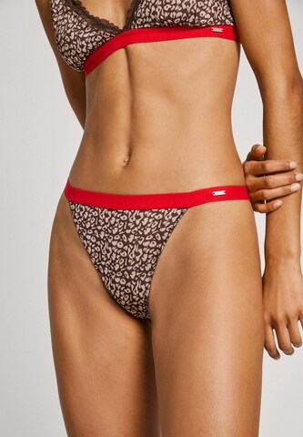 Pepe Jeans String 'ANIMAL' in Bruin: voorkant