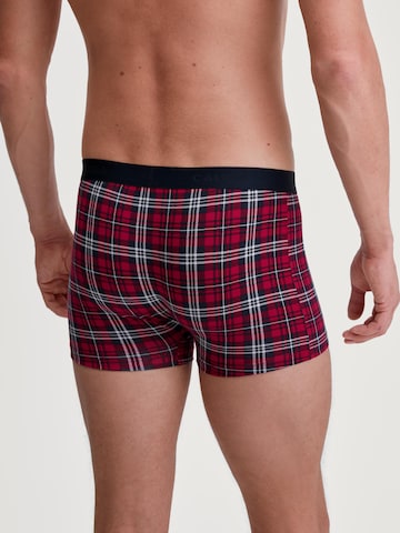 CALIDA Boxershorts 'Family & Friends' in Rood