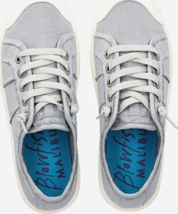 Blowfish Malibu Sneakers in Grey