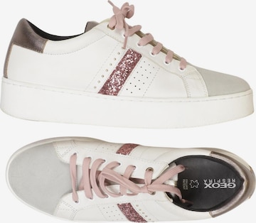 GEOX Sneakers & Trainers in 42 in Mixed colors: front