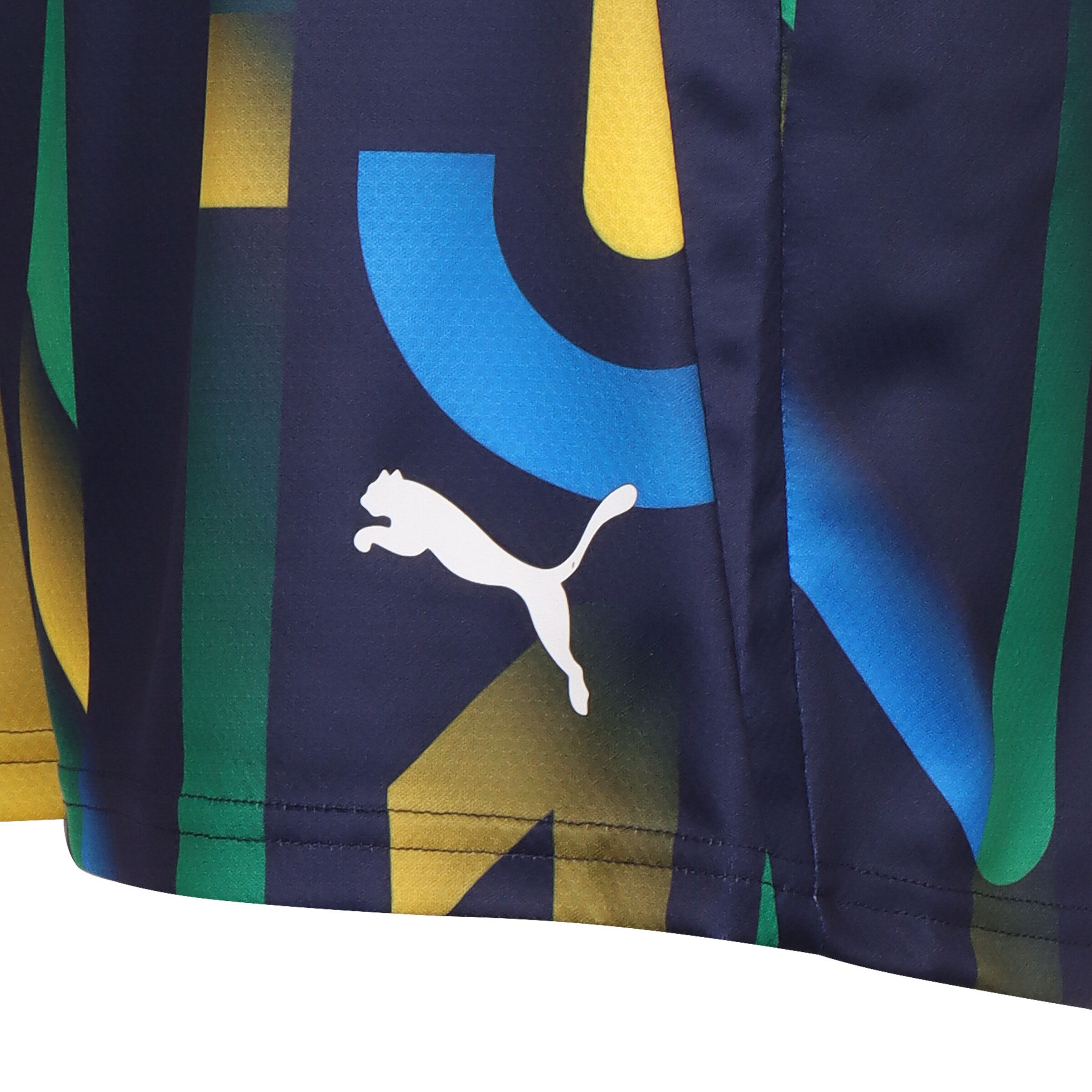 PUMA Regular Shorts in Blau