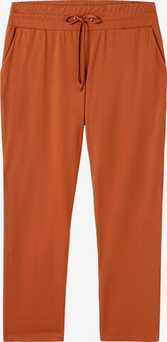 SHEEGO Tapered Pants in Brown: front