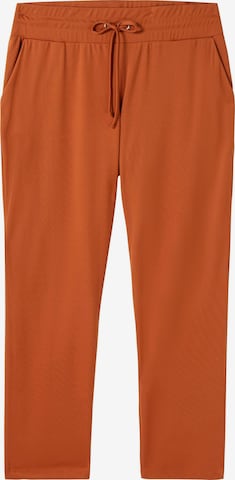 SHEEGO Tapered Hose in Braun: predná strana