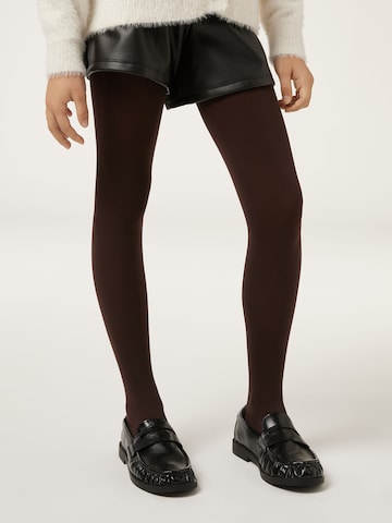 CALZEDONIA Tights in Brown