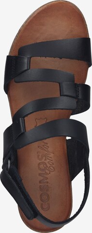 COSMOS COMFORT Strap Sandals in Black