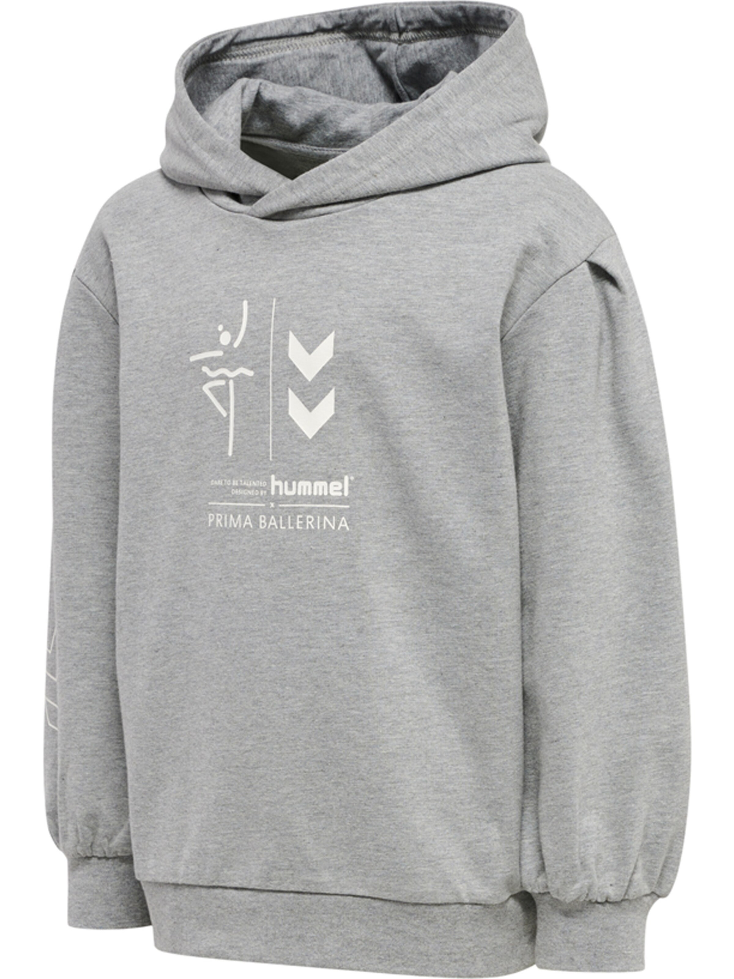Hummel Sweatshirt in Grijs