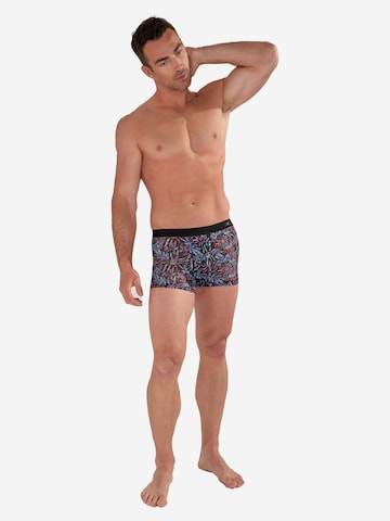 HOM Boxer shorts 'Biscayne' in Mixed colors