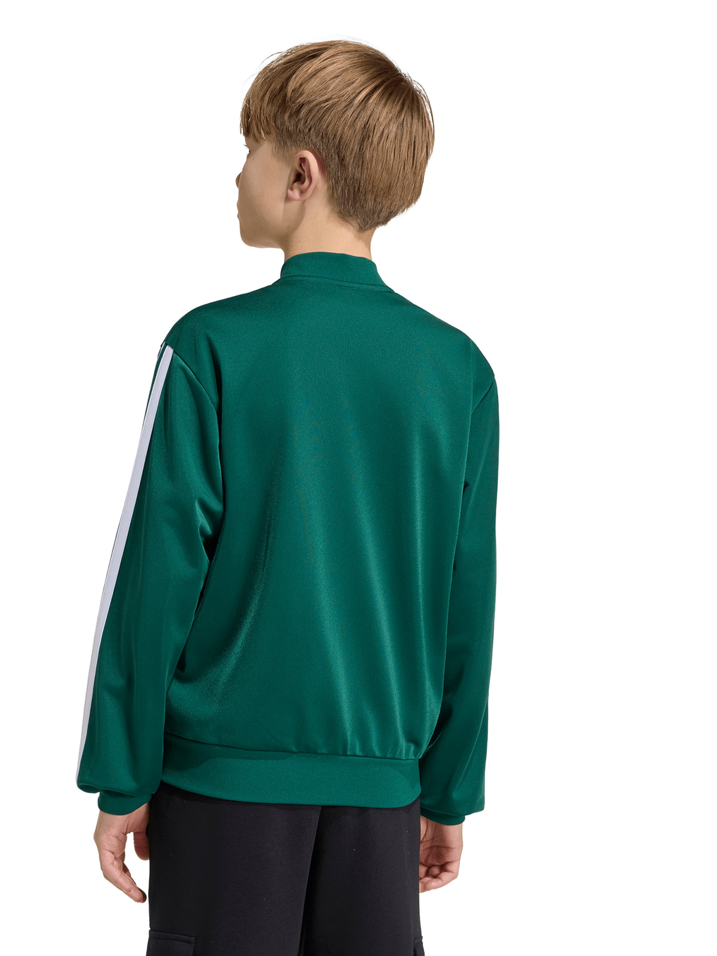 ADIDAS SPORTSWEAR Sportovní mikina – zelená