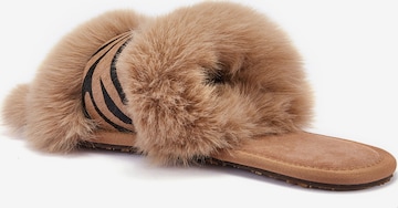 Pantoufle 'MUCHAS' Australia Luxe Collective en gris : devant