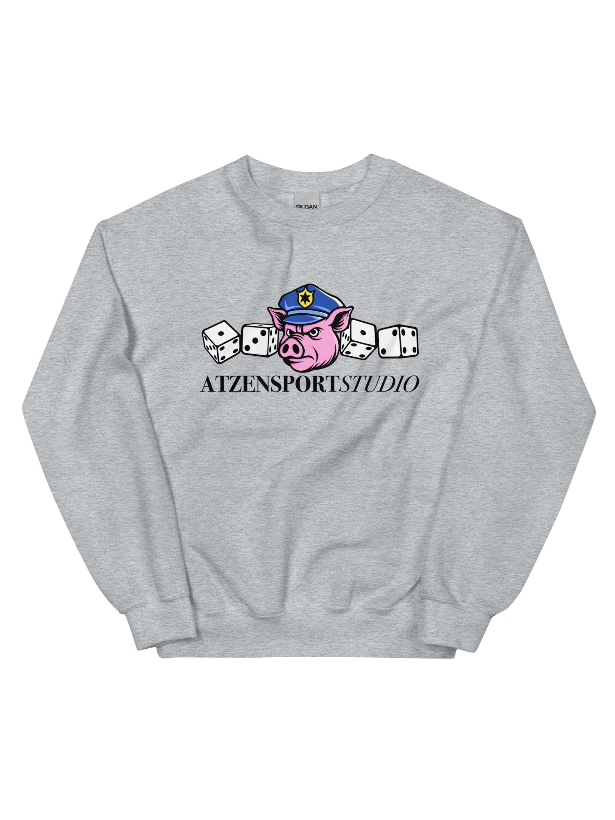 ATZENSPORT Pullover 'ACAB' in Grau: Vorderseite