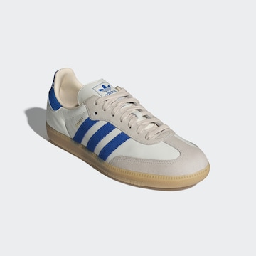 Baskets basses 'Samba' ADIDAS ORIGINALS en blanc