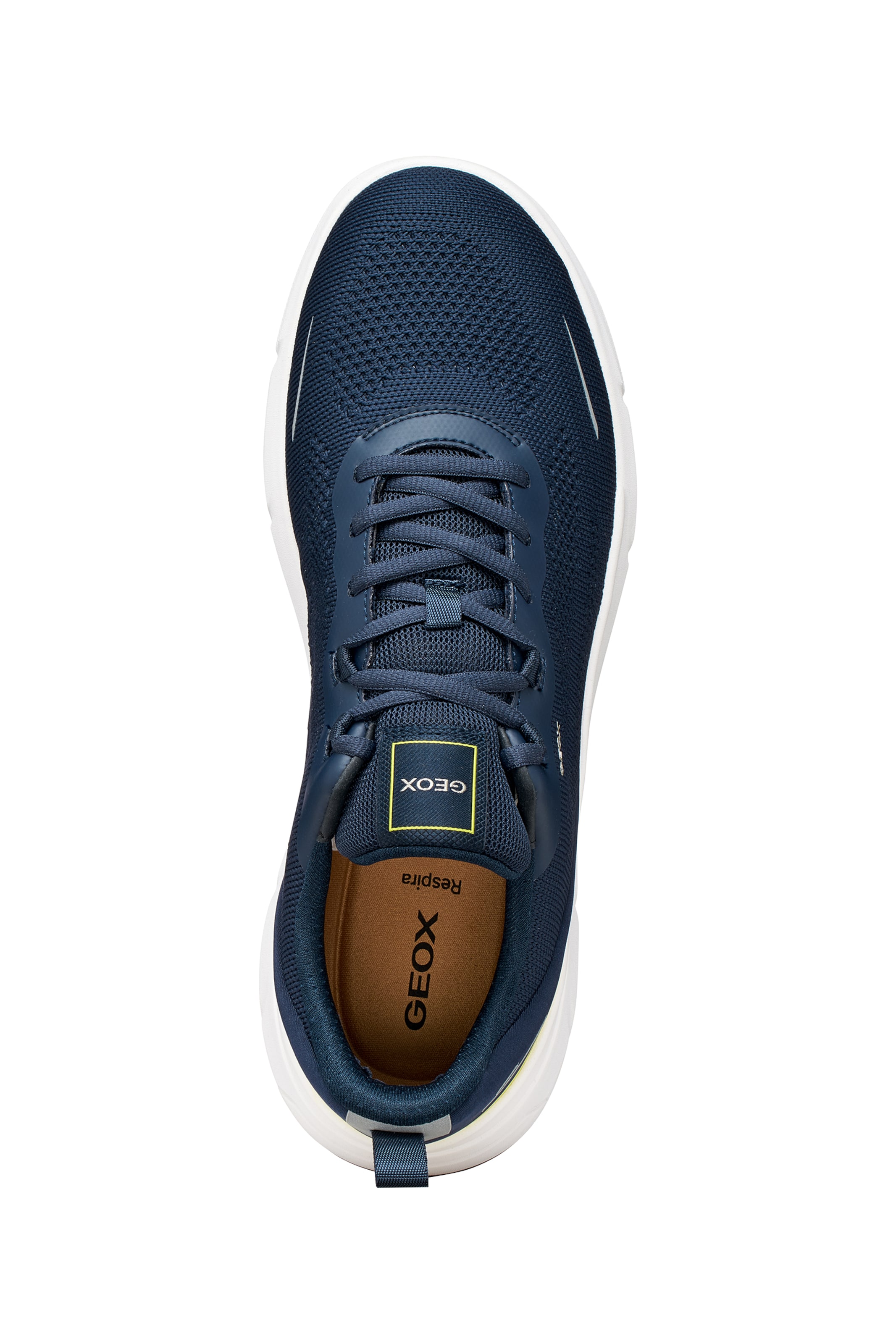 Baskets basses GEOX en bleu