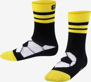 FALKE Socks 'Active Soccer' in Black: front