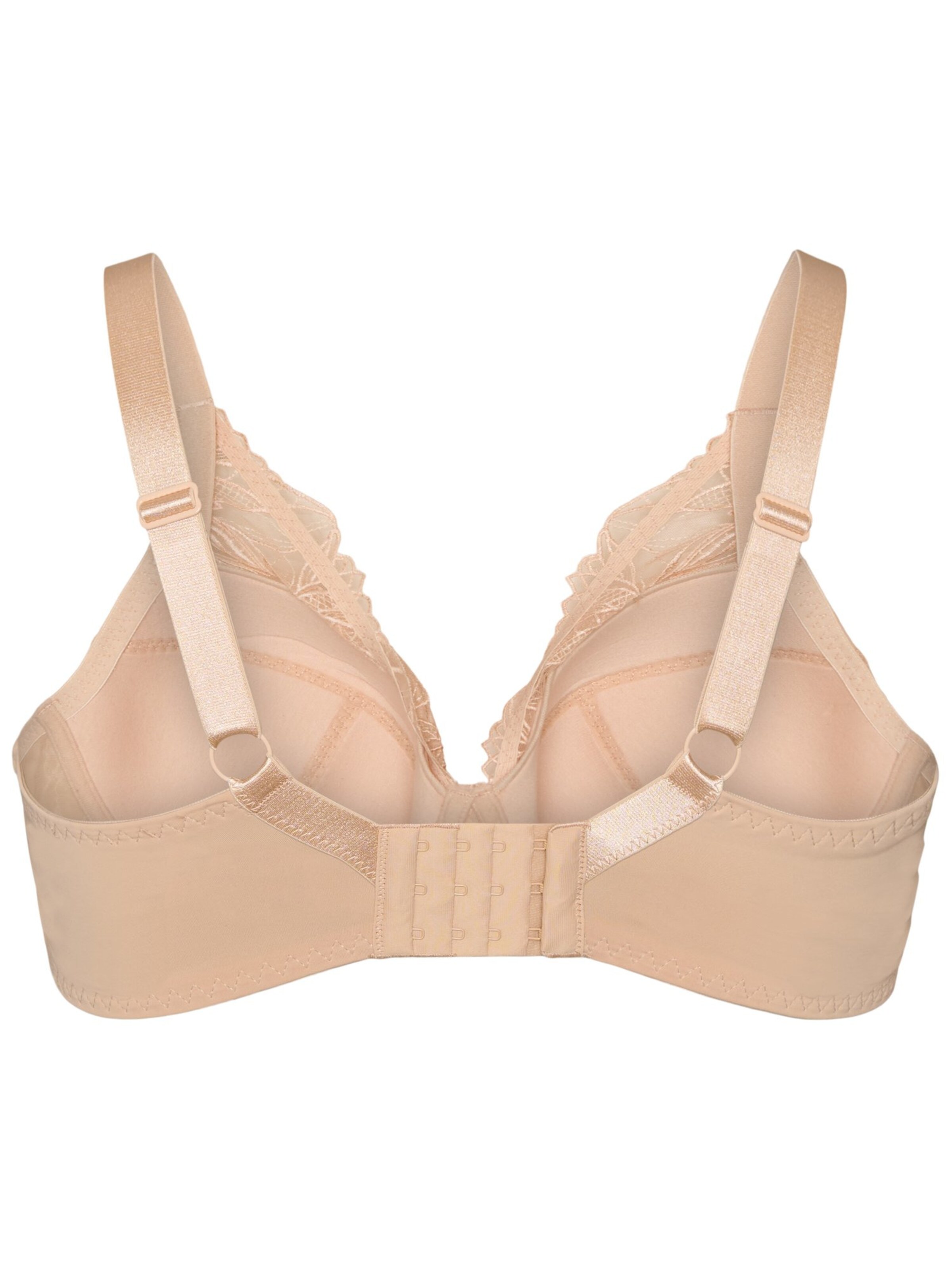 Devoted by Zizzi Classic Bra in Beige
