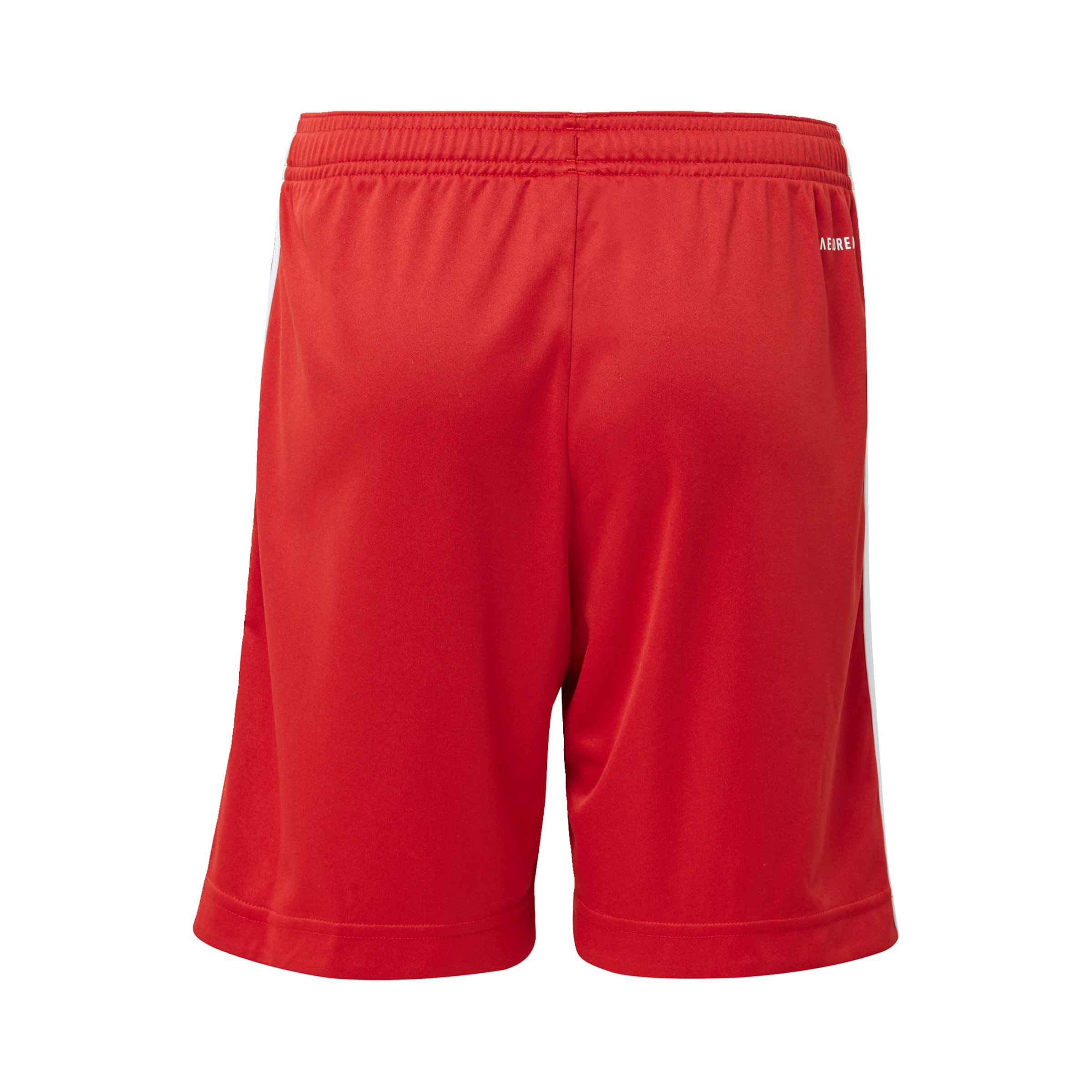 ADIDAS PERFORMANCE Regular Sportbroek 'FC Bayern München' in Rood