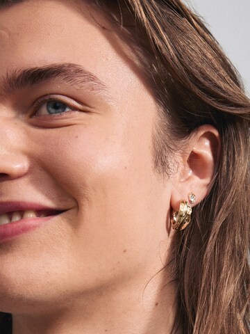 Pilgrim Ohrringe 'Feel' in Gold