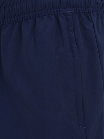 ADIDAS PERFORMANCE Regular Workout Pants 'Spain Travel' in Blue